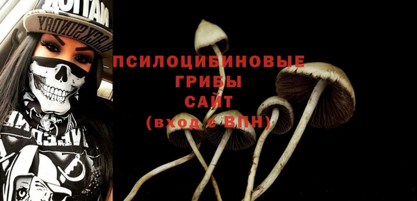 apvp Каменск-Шахтинский
