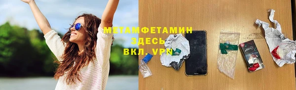 сатива Карпинск
