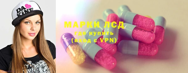 сатива Карпинск