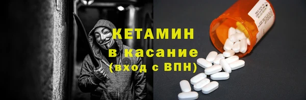 сатива Карпинск