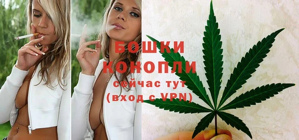 сатива Карпинск
