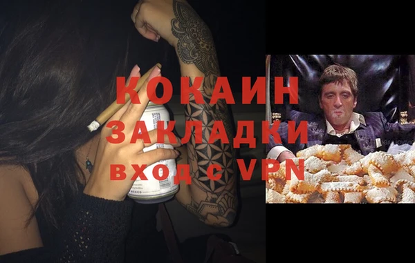 сатива Карпинск