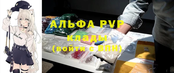 сатива Карпинск