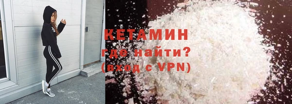 сатива Карпинск