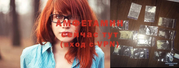 сатива Карпинск