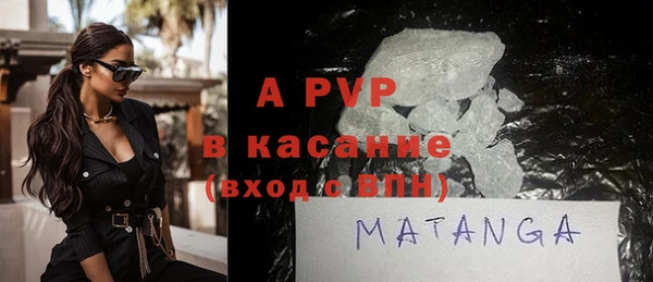 сатива Карпинск