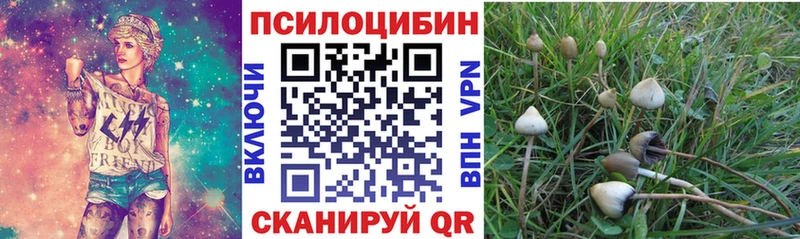 Купить закладки  Борисоглебск  Галлюциногенные грибы мицелий 